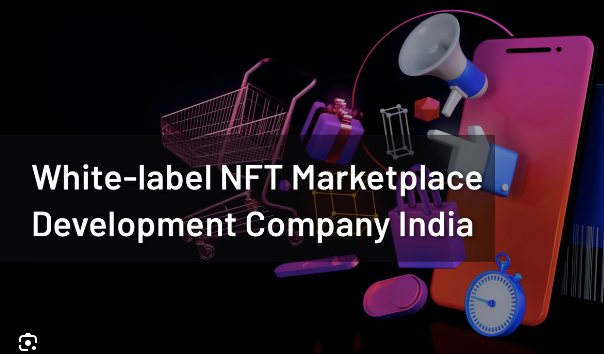 white label nft marketplace development company in india