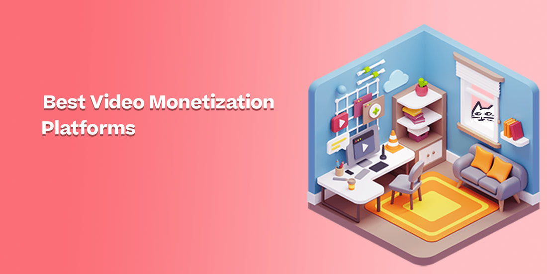 The Top 14 Video Monetization Platforms in 2024